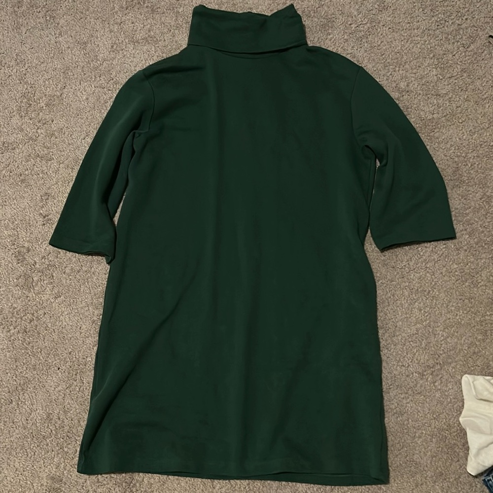 Zara Turtleneck Dress